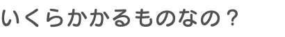 いくらかかるものなの？